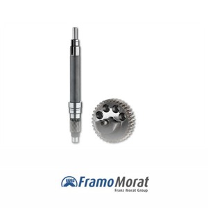 Framo Morat - Metal Dişliler