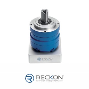 Reckon - LIVELY-SQ-ST